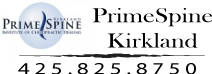 Chameleon Logo